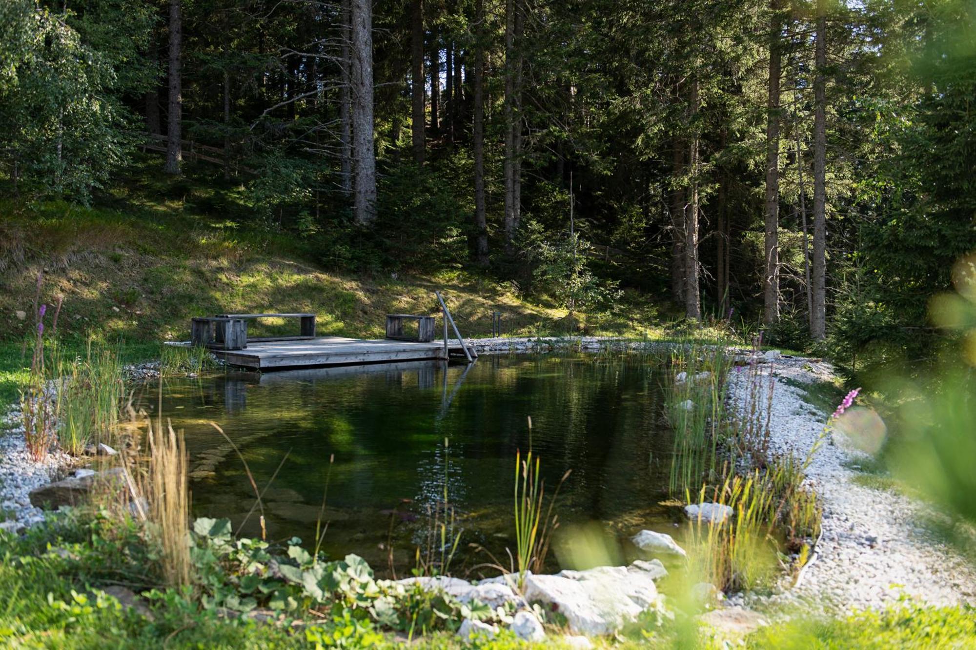 Brandlalm Chalets Gundisch Exteriér fotografie